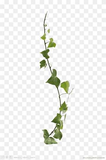 BAT